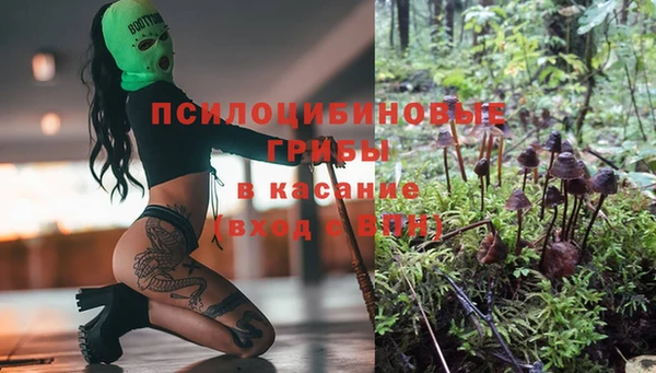 эйфоретик Вязники