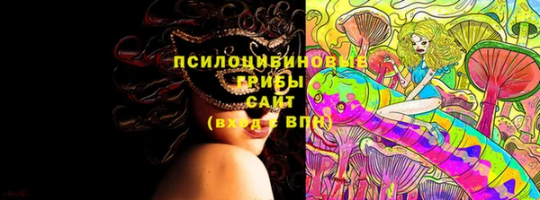 бутират Вяземский