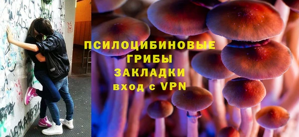 mdpv Володарск