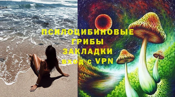 бутират Вяземский