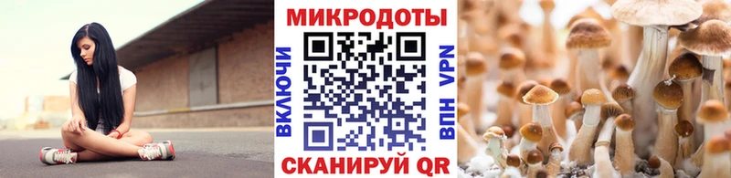 Псилоцибиновые грибы мицелий Островной